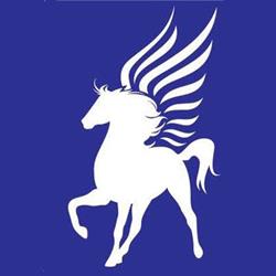 Pegaso Srl