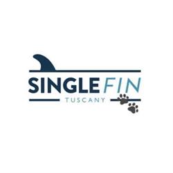 Single Fin Tuscany Dog Beach