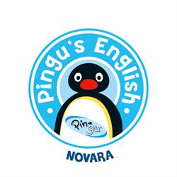 Pingu's English Novara