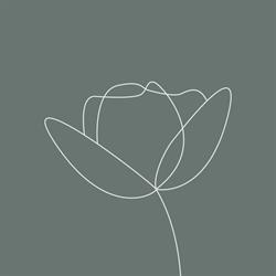 Lumea Beauty