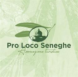 Pro Loco Seneghe - Casa Pili