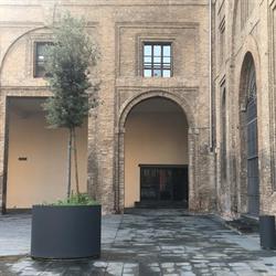 Biblioteca delle Arti e dello Spettacolo