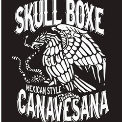 Skull Boxe