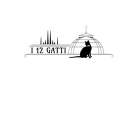 I 12 Gatti Pizzeria