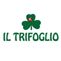Il Trifoglio - Fiorista a Sagliano Micca
