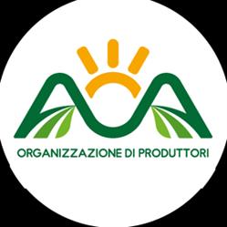 A.O.A. S.c.a.r.l. Via Madonnelle 2 Scafati