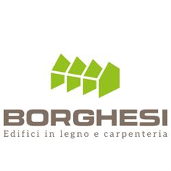 Borghesi Costruzioni SRL