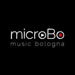 micro_BO APS