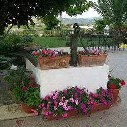 B&B La Casa Bianca