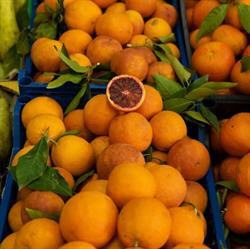 MOSCATO FRUTTA E VERDURA VIALE CANNATELLO