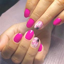 Advice - NailStudio