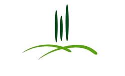 Fattoria Borgonuovo - Holiday Home