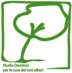 Studiodendron, per la cura dei tuoi alberi