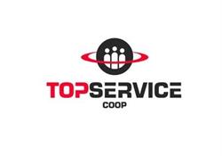 TopService
