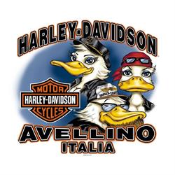 Harley-Davidson Avellino