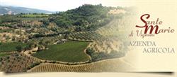 Sante Marie di Vignoni Azienda Agricola