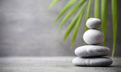 Istituto Italiano Mindfulness