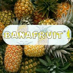 Banafruit Import Export Srl