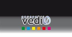 Gruppo Vedi Srl