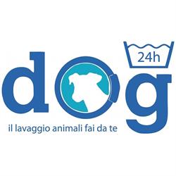 DOG24
