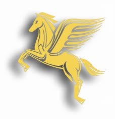 DHL Roma VipEx