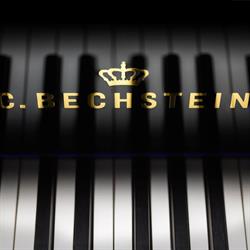C.Bechstein Piano Center - Triveneto
