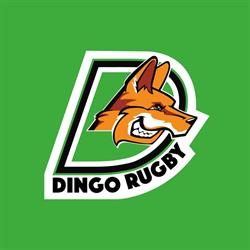 Dingo Rugby Club