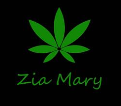 Zia Mary Torino