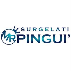 Surgelati Mr Pinguì