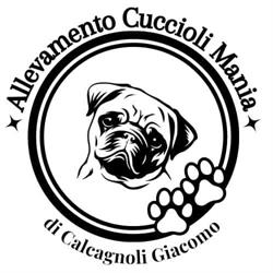 Allevamento "Cuccioli Mania" di Giacomo Calcagnoli