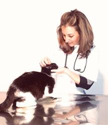 La Clinica degli Animali - Veterinario Nuoro