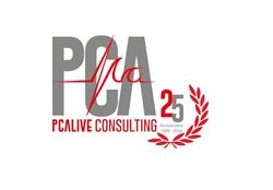 Pcalive Consulting srl