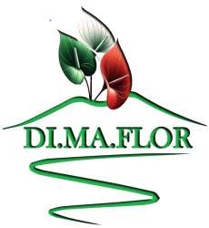 DI.MA.FLOR