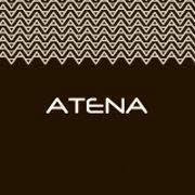 Atena S.p.A. - Filiale di Vicenza