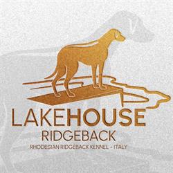 Allevamento Rhodesian Ridgeback LAKEHOUSE RIDGEBACK di Valentina Sozio