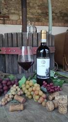 Antica cascina San Rocco Azienda Agricola Gaglione Simone