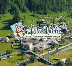 A La Vielo Azienda Agricole - Affittacamere