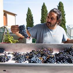 Tenuta Ceri