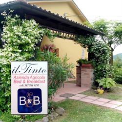 B&B IL TINTO