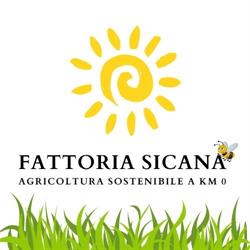 Fattoria Sicana