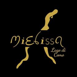 Azienda Agricola Apicoltura MiElissa