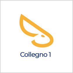 SoloAffitti Collegno 1