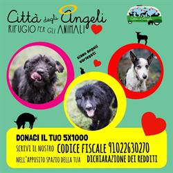 Città degli Angeli Rifugio per Animali