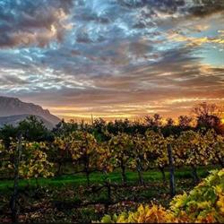 Tenuta Palaios