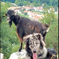 Mezalot, Azienda Agricola