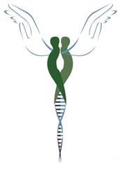 Parafarmacia il Borgaccio