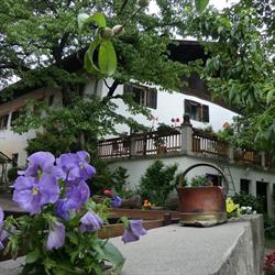 Wildhof