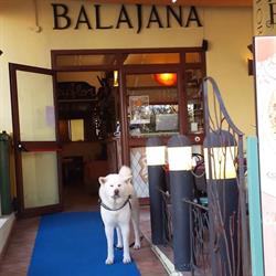 Pizzeria Balajana