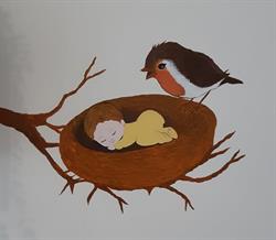 Nido In Famiglia del Pettirosso