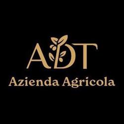Azienda Agricola Di Talia